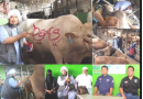 CV Puput Bersaudara Gandeng Ustad Dery Sulaiman ” Mudahkan Berqurban Dijalan Allah