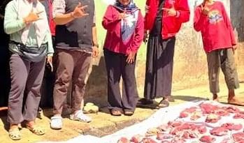 “DPC PDI Perjuangan Kota Depok Salurkan Hewan Kurban, Riza: Idul Adha Ajarkan Keikhlasan dan Gotong Royong”