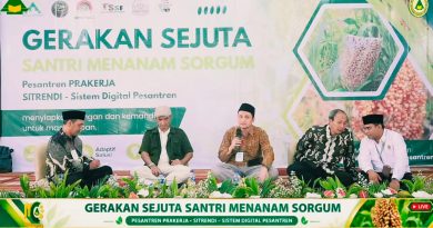 Kopontren Indonesia: Gerakan Sejuta Santri Tanam Sorgum Dorong Ketahanan Pangan