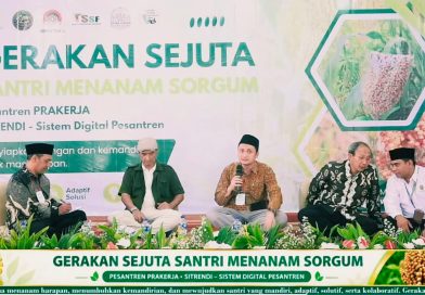 Kopontren Indonesia: Gerakan Sejuta Santri Tanam Sorgum Dorong Ketahanan Pangan
